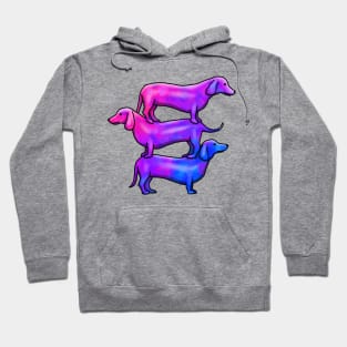 Wiener Goggies Bi Hoodie